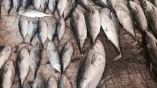 Qurxummiin Chaayinaan qabdu kun qarqara galaanaa biyya Somaaliyaa irraati