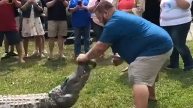 Mike Kliebert menegaskan ada 'belasan pengendali buaya' di antara hadiri untuk memastikan situasinya aman.