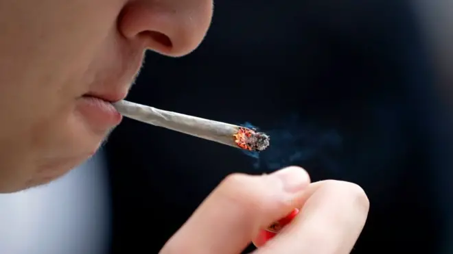 El uso de la marihuana medicinal es legal en 30 estados de Estados Unidos y en el Distrito de Columbia. Algunos expertos creen que la marihuana podría aliviar la crisis causada por los opioides.