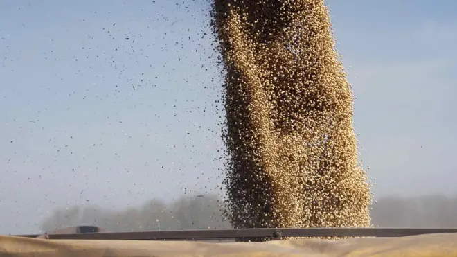 A produçãopoker sgrãos no Brasil é fortemente dependentepoker sfertilizantes importadospoker spaíses como a Rússia