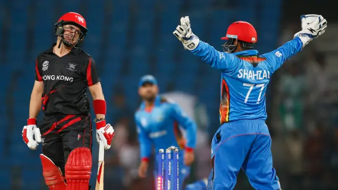 افغان لوبغاړی شهزاد