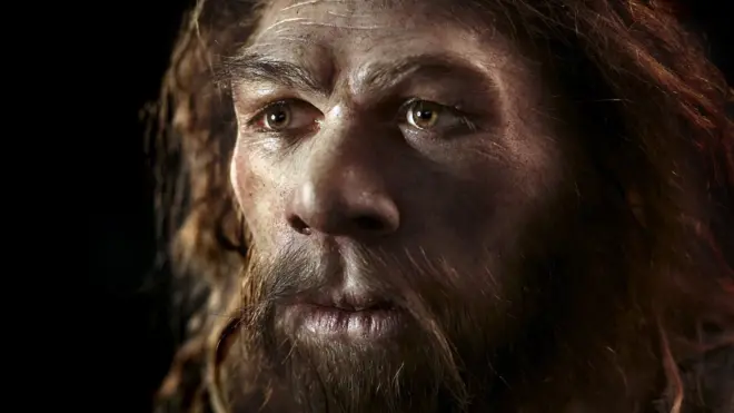 หุ่นจำลองใบหน้าของมนุษย์โบราณนีแอนเดอร์ทัล