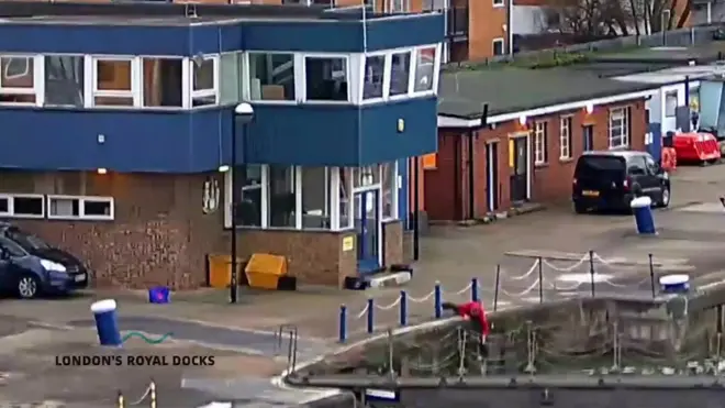 Кот Феликс чуть не утонул