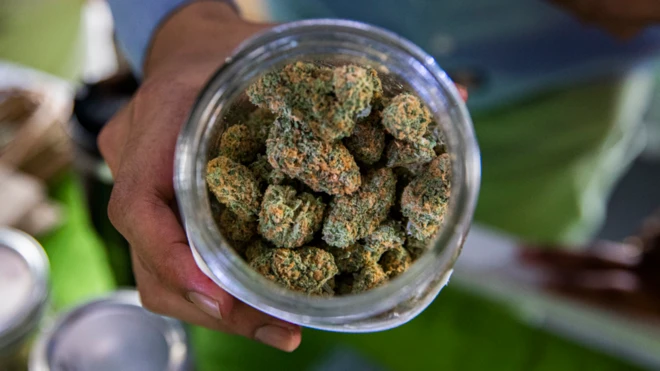 ด็กป่วยจากกัญชา 14 รายแล้ว