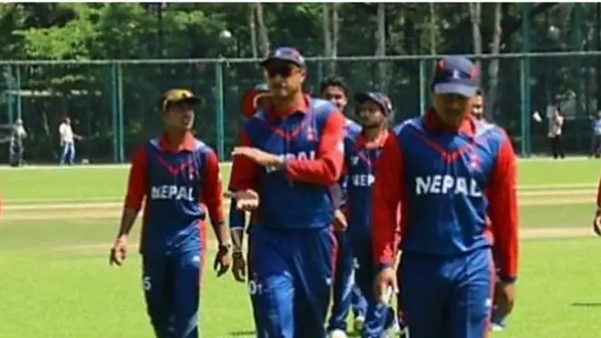 क्रिकेट