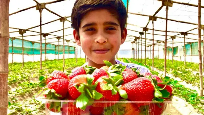 کندهار کې د ځمکې توتان
