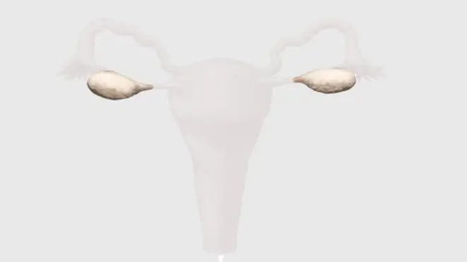 لا تحدث الدورية الشهرية بانقطاع الطمث