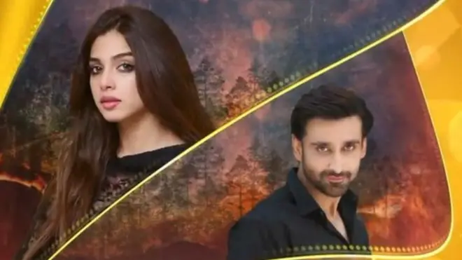 سونیا حسین سمجھتی ہیں کہ اگر لوگوں کو اچھا کانٹینٹ (مواد یا موضوع) ملے گا تب ہی وہ بُرے کانٹینٹ کو بُرا سمجھیں گے