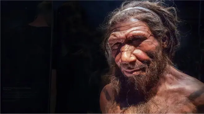 निअँडरथल