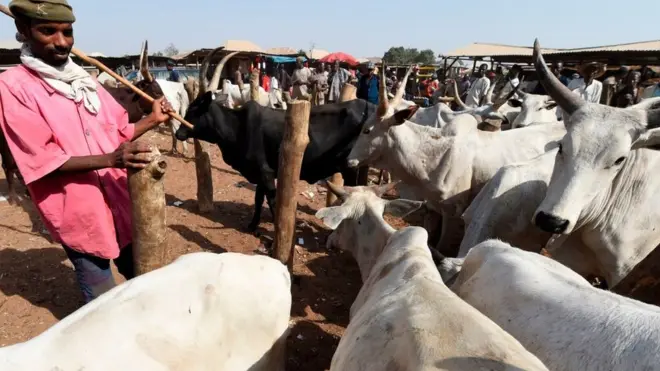 Ndị Fulani ọchịehi na-akpa mkpamkpa na Benue steeti na steeti dị na etiti ugwu-awụsa