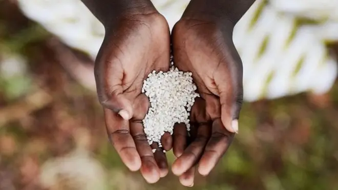 حافظ الرقيق الأفارقة في صمت على ثقافتهم الأفريقية وأدخلوا تعديلات على وصفات من غرب أفريقيا لتناسب طبيعة الحياة في مزارع المستعمرات