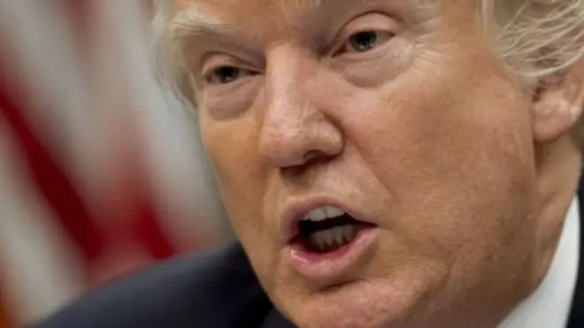 ښاغلي ټرمپ ویلي دغه تورونه د ده دیموکرات مخالفانو پنځولي