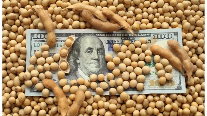 El "dólar soja" busca repuntar las peligrosamente bajas reservas del Banco Central.