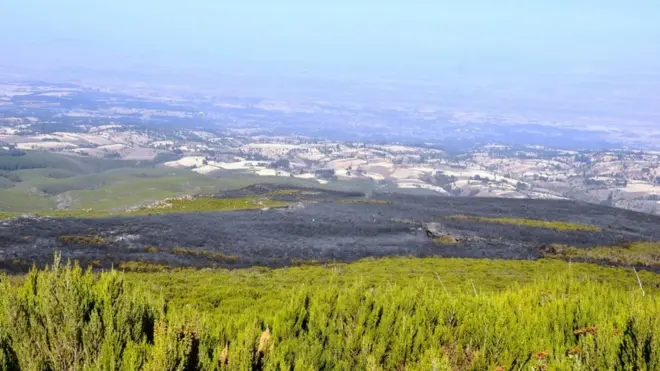Paarkii Biyyaalessaa Gaarrewwan Arsii gubate agarsiisu