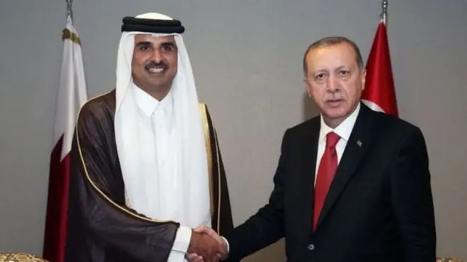 أردوغان وتميم (أرشيفية)