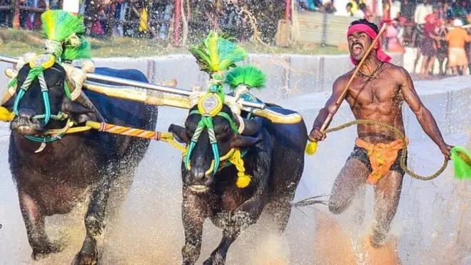 سری نواس گوڈا