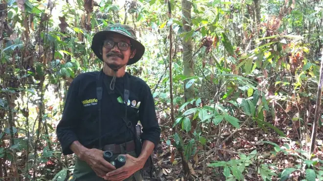 Ibrahim berharap Leuser dapat dipertahankan sebagai hutan primer terbaik di Asia, yang penting bagi kemaslahatan dunia.