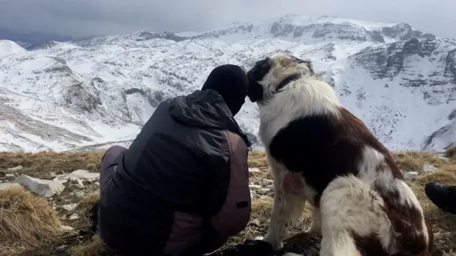 Ђорђе са псом Дингом