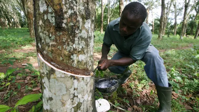 Toute la filière hévéa est menacée par la crise des exportations