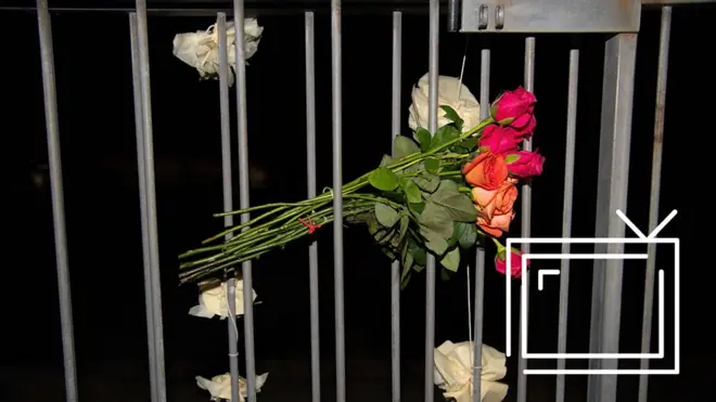 Цветы в Крайстчерче