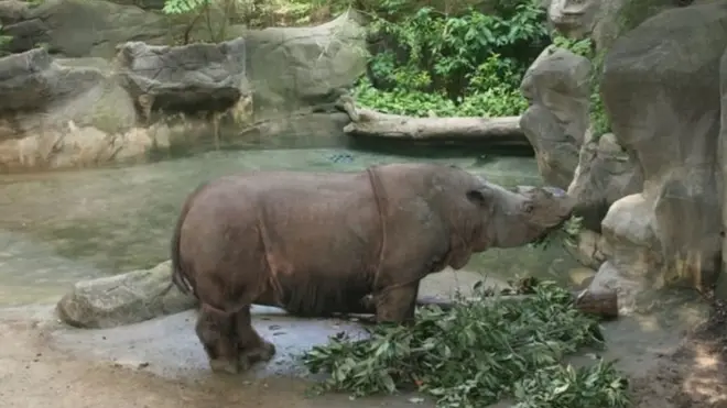 Ipuh -sumber sampel genom untuk penelitian- tinggal di KB Cincinnati ejak tahun 1990-an dan mati empat tahun lalu.