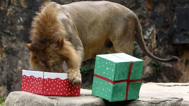 క్రిస్‌మస్ బహుమతి