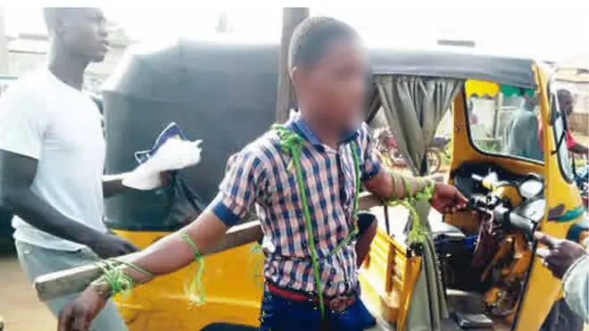 Otu n'ime nwata akwụkwọ ndị a kpodoro n'elu obe