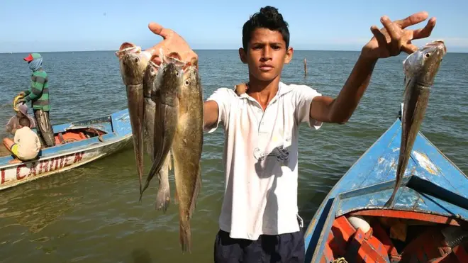 Niño pescador