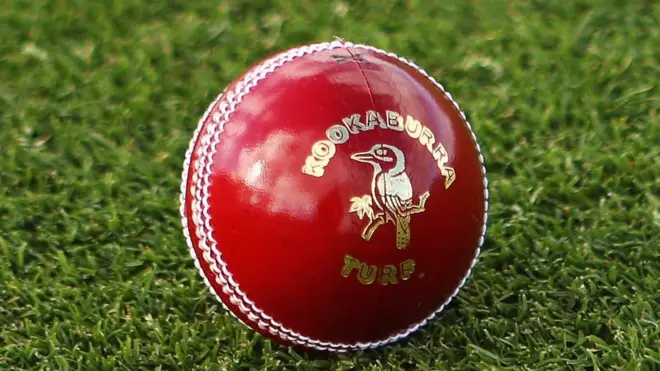 Cricket ball