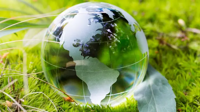 América Latina está perdiendo rápidamente su biodiversidad.