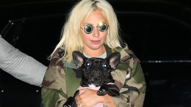 Lady Gaga aparece a menudo en público con sus perros.