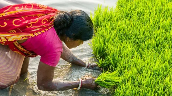 किसानों की कर्ज़ माफ़ी