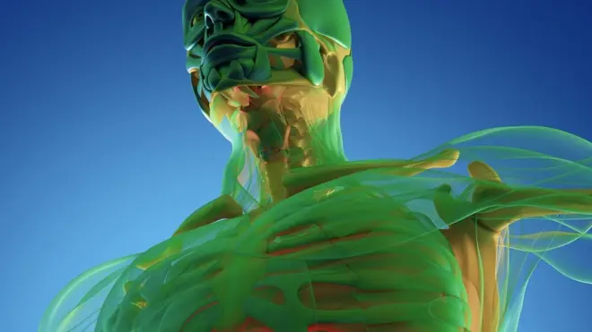 মুসলিমরা সূর্যোদয় হতে সূর্যাস্ত পর্যন্ত পানাহারে বিরত থাকেন রোজার সময়। এতে দেহের ওপর কী প্রভাব পড়ে?