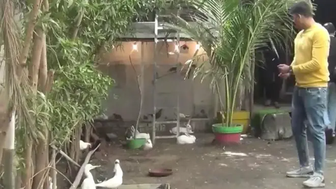 पंछी पालने वाला लड़का