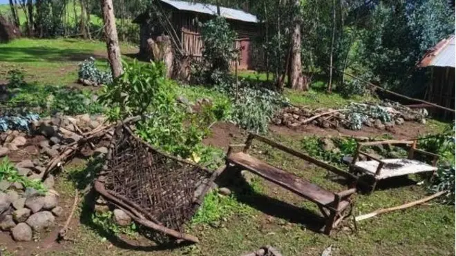 ደም ዝተጸየቀ ዓራት