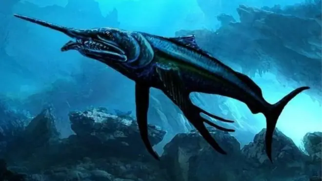 اہم بات یہ ہے کہ یہ نمونہ بہت خاص اور مکمل ہے: ڈاکٹر پیٹرک سمتھ