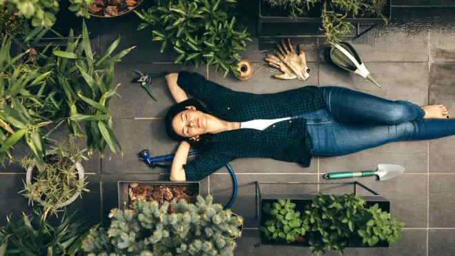 Связь с растениями