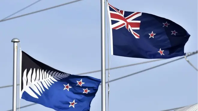 The proposed new flag, Silver Fern, was criticised as uninspiring by some
