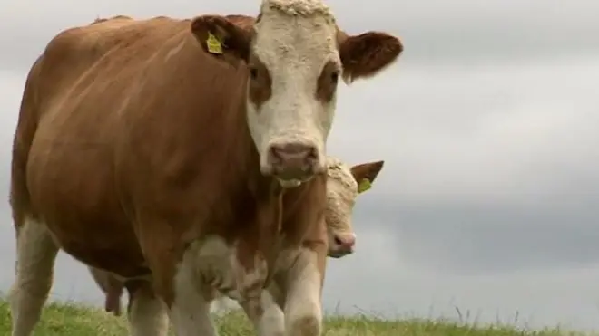 ग्लोबल वॉर्मिंग