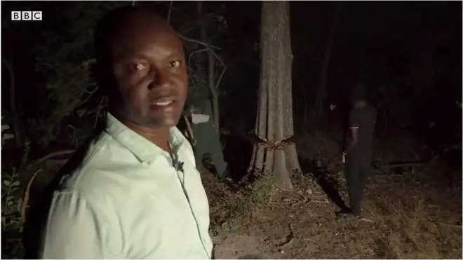 Pesin dey stand near ree