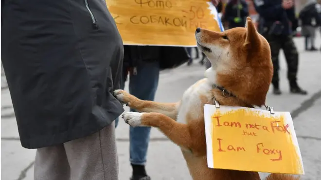 น้องหมา