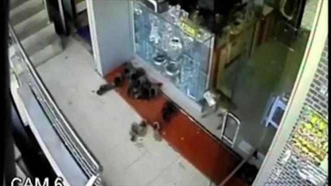 Ele pegou cercaarbitragem apostas desportivasR$ 520, mas acabou derrubando o dinheiro, que foi devolvido à loja.