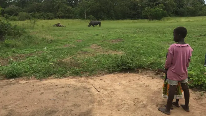 Les habitants des villages de Frondobo et Djamalabo cohabitaient tranquillement avec le rhinocéros.