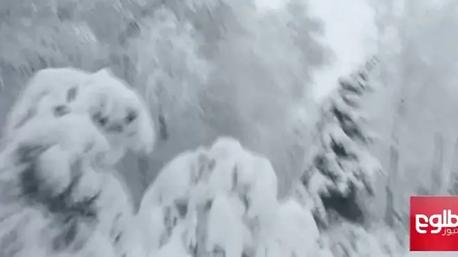 بالفيديو.. تساقط الثلوج يقتل العشرات في باكستان وأفغانستان