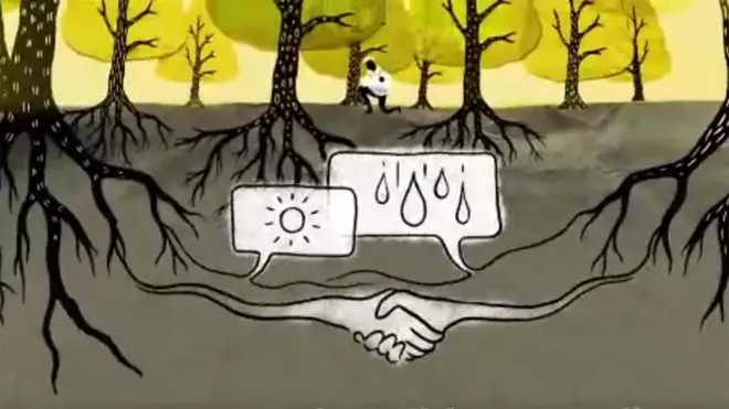 Dibujo que simboliza a dos árboles comunicándose bajo la tierra