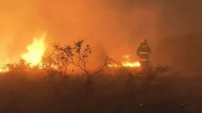 චිලී රාජ්‍යයේ වන ගින්නට එකොළහක් බිලි