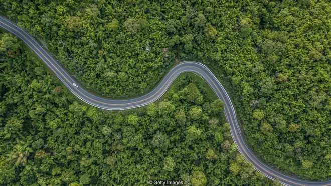 ብማእከል ጫካ ዝሓልፍ ጽርጊያ