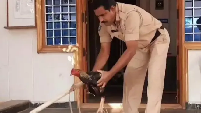 కోడిపై కేసు