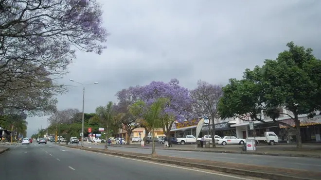 Le fait divers s'est déroulé près de la petite ville de White River (en photo), dans la province de Mpumalanga.