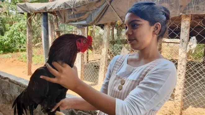 విశాఖపట్నం, జమీల్య, సంకల్ప్‌ ఆర్ట్‌ విలేజ్‌, సేంద్రీయ ఉత్పత్తులు, ఆర్గానిక్‌ ప్రోడక్ట్స్‌